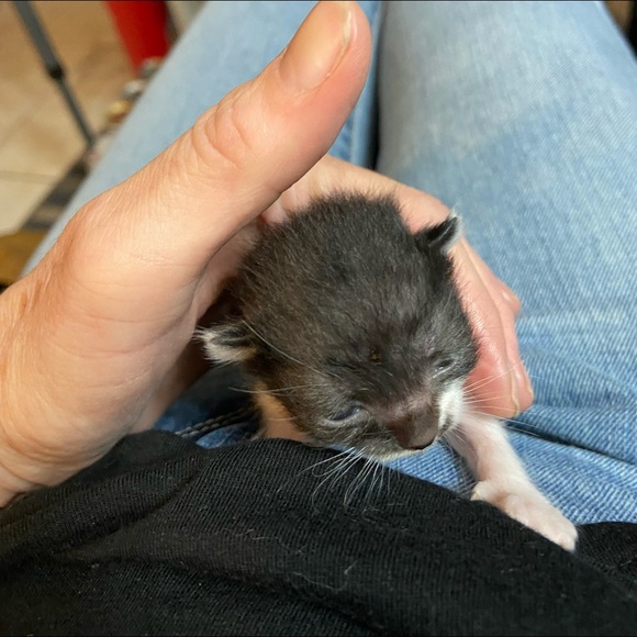 Meet your Posher, Dwana - Picture 8 of 16